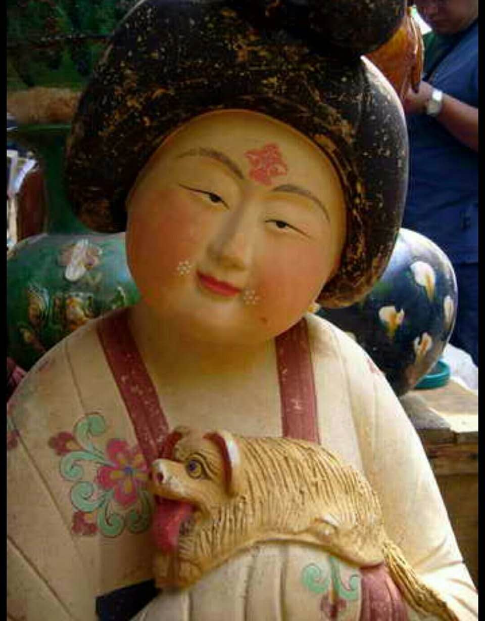 血统aCmfZ-cts4660+是瑶族盘瓠女婿郑元瑞,亚特兰蒂斯扶桑族