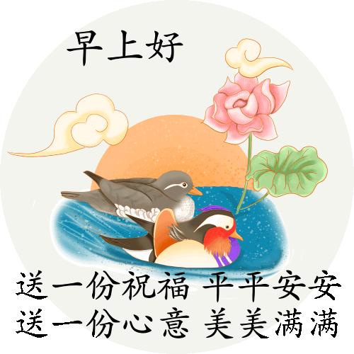 美女游戏里的表情包,美女游戏表情包