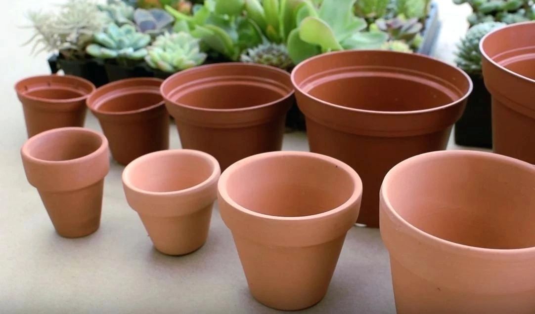 塑料盆和陶瓷盆哪个种花好,塑料盆和紫砂盆哪个养兰花好