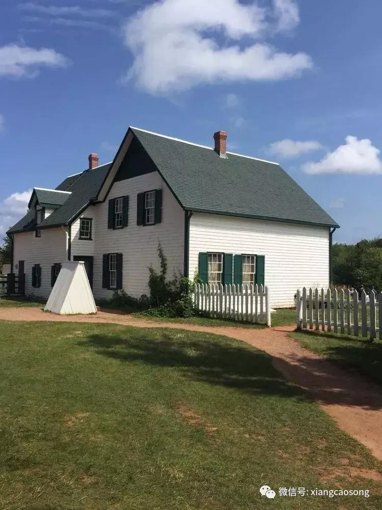 漂洋过海来挖宝,漂洋过海去台湾吃海鲜