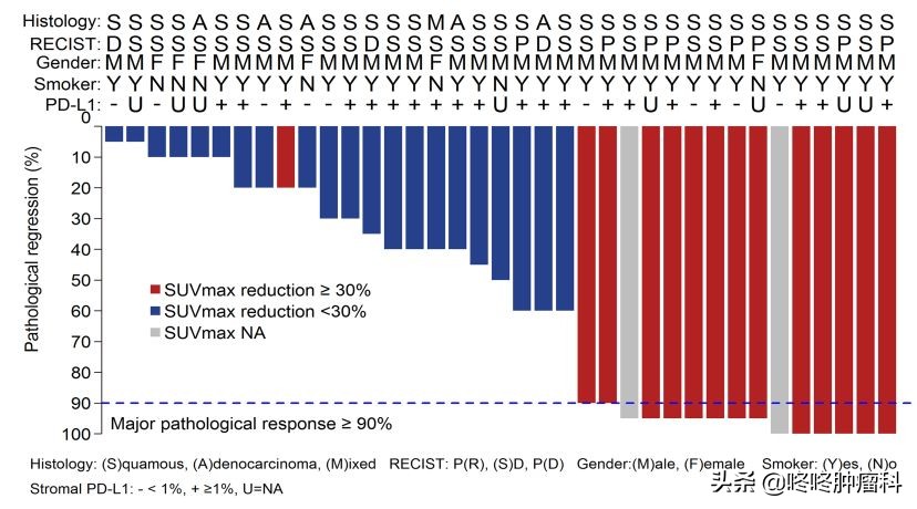 肿瘤治疗进入“全民免疫”时代！术后患者也可使用，完全缓解率暴涨