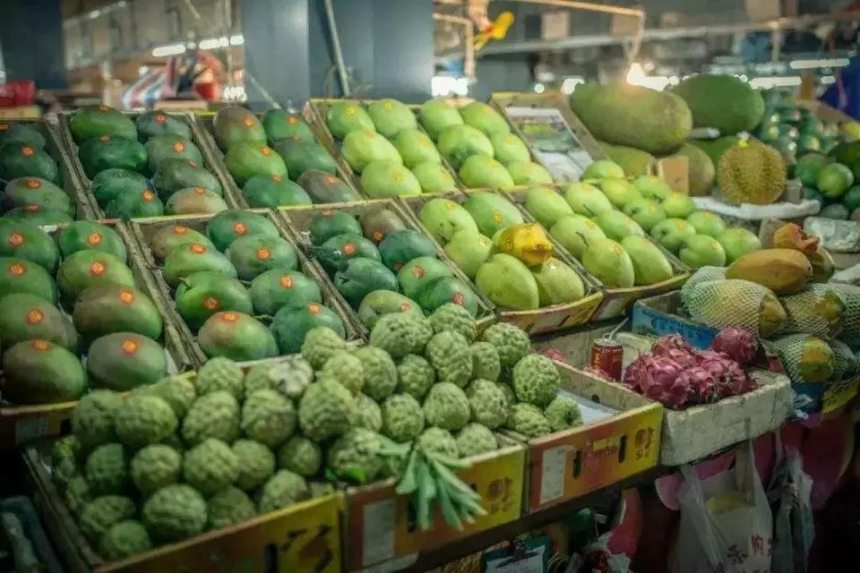 凤梨释迦怎么种植,凤梨释迦种植技术