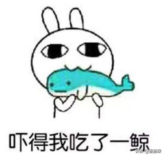 想了解香港保险推荐看什么书,香港保险资讯平台