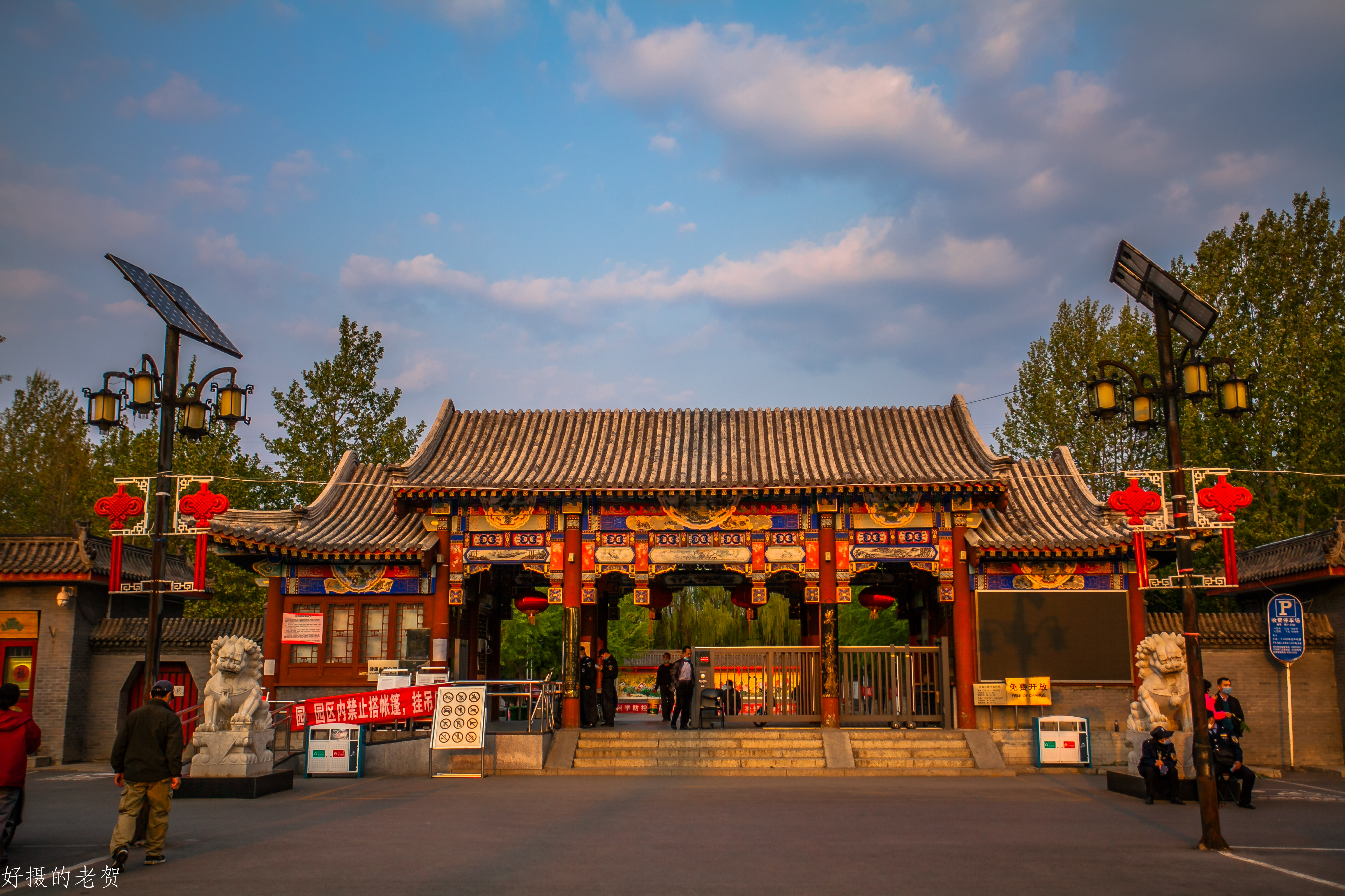 小小街头公园也有春天？疫情期间，它成为唯一舒缓心情的伊甸园