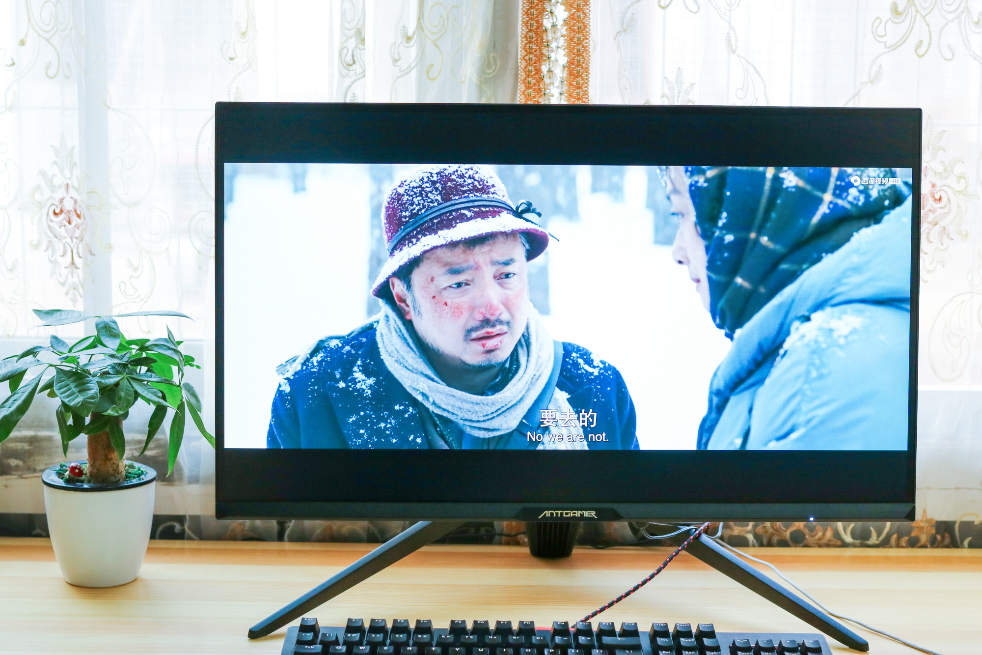 蚂蚁电竞ant27tqc,蚂蚁电竞ant27vq测评