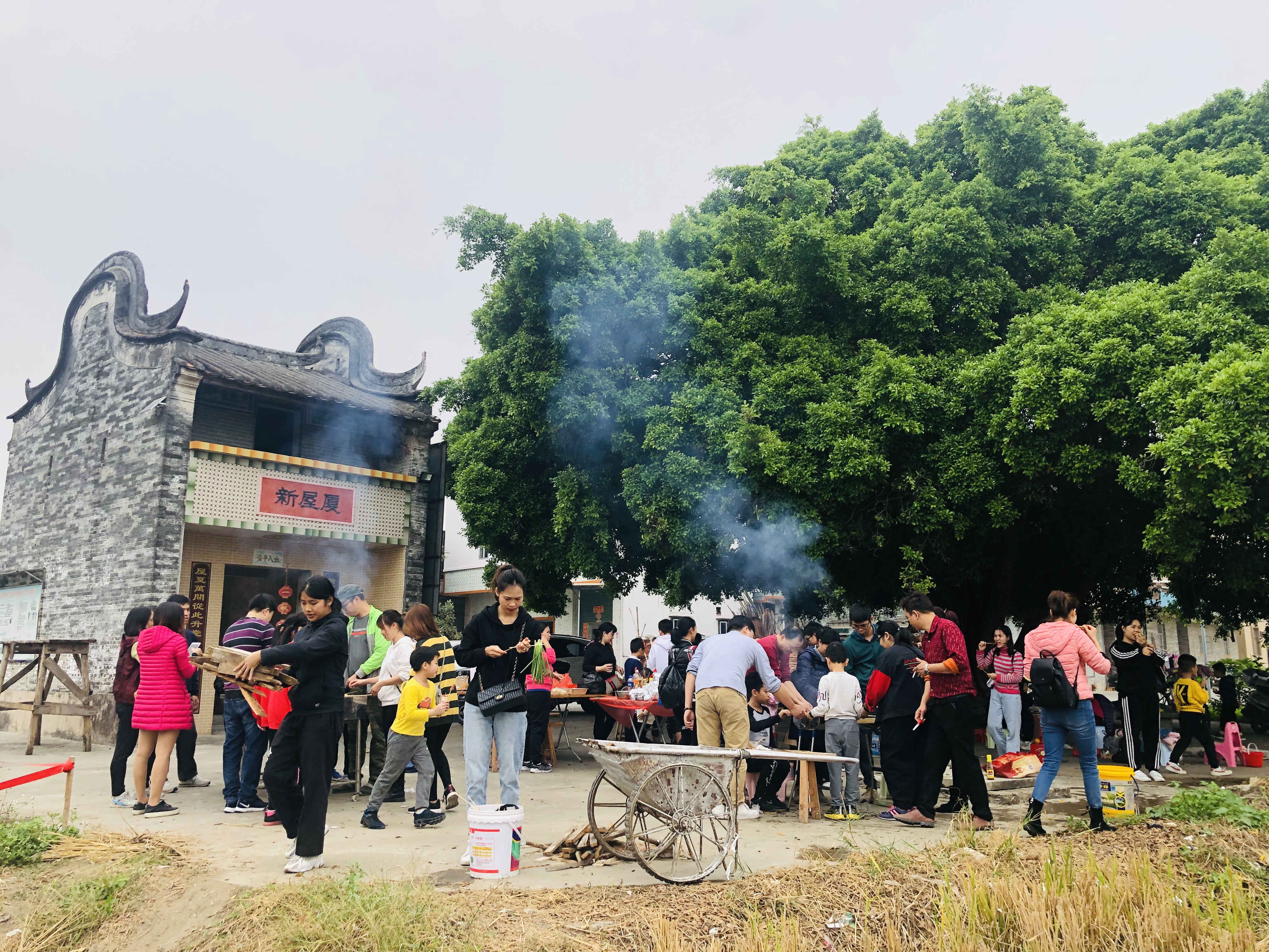 江门至道会跆拳道,开平苍龙跆拳道