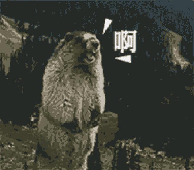 杭州2020年演唱会,2019年杭州演唱会完整版