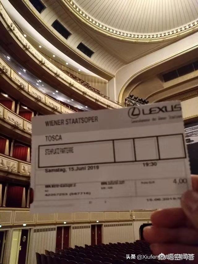 音乐之都维也纳的收获与体验,音乐之都维也纳详细表述