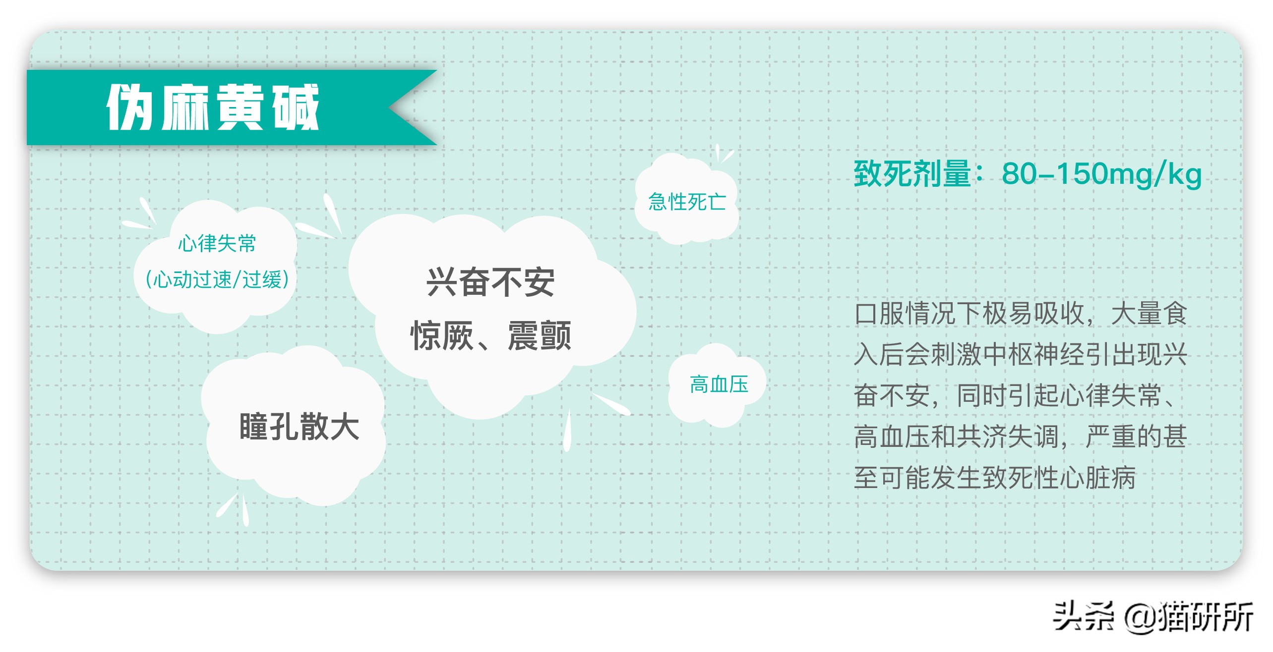 有人给猫下毒会不会有毒,猫能吃人用感冒药吗