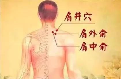 拔罐作用有那么大吗,拔罐的效果有多神奇