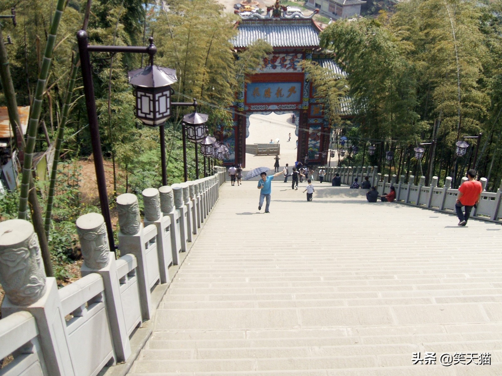 四川宜宾竹海风景,宜宾蜀南竹海全视频
