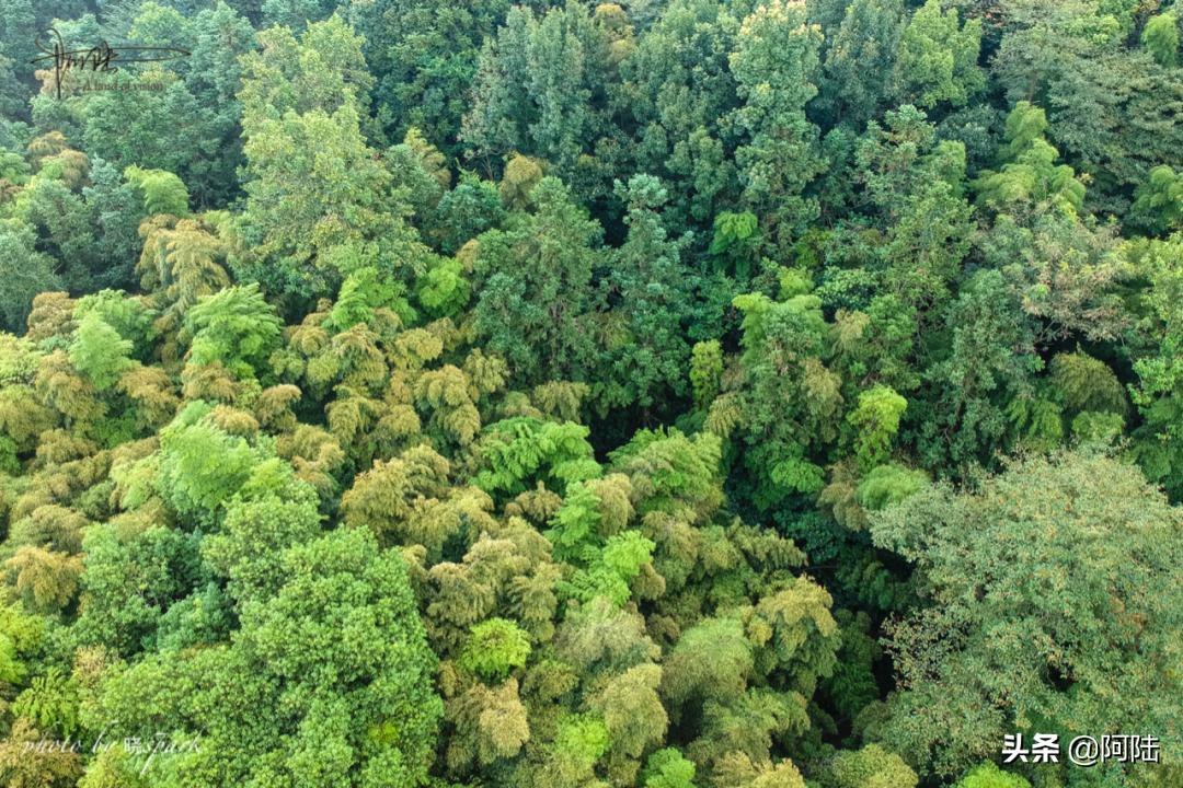 上虞有什么高档的宾馆,上虞宾馆几星级