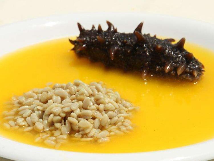 买海参要注意什么,买海参需要注意什么