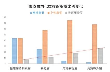 烟酰胺和什么一起用会长毛,烟酰胺原液会导致长毛吗