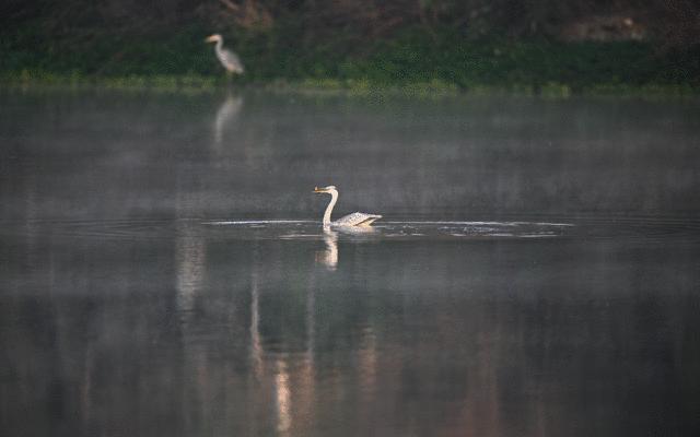 无机械快门的相机,尼康z卡口全画幅相机镜头推荐