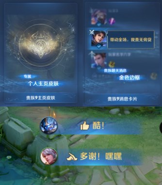 王者荣耀贵族新皮肤,王者荣耀ss26赛季将要上线的皮肤