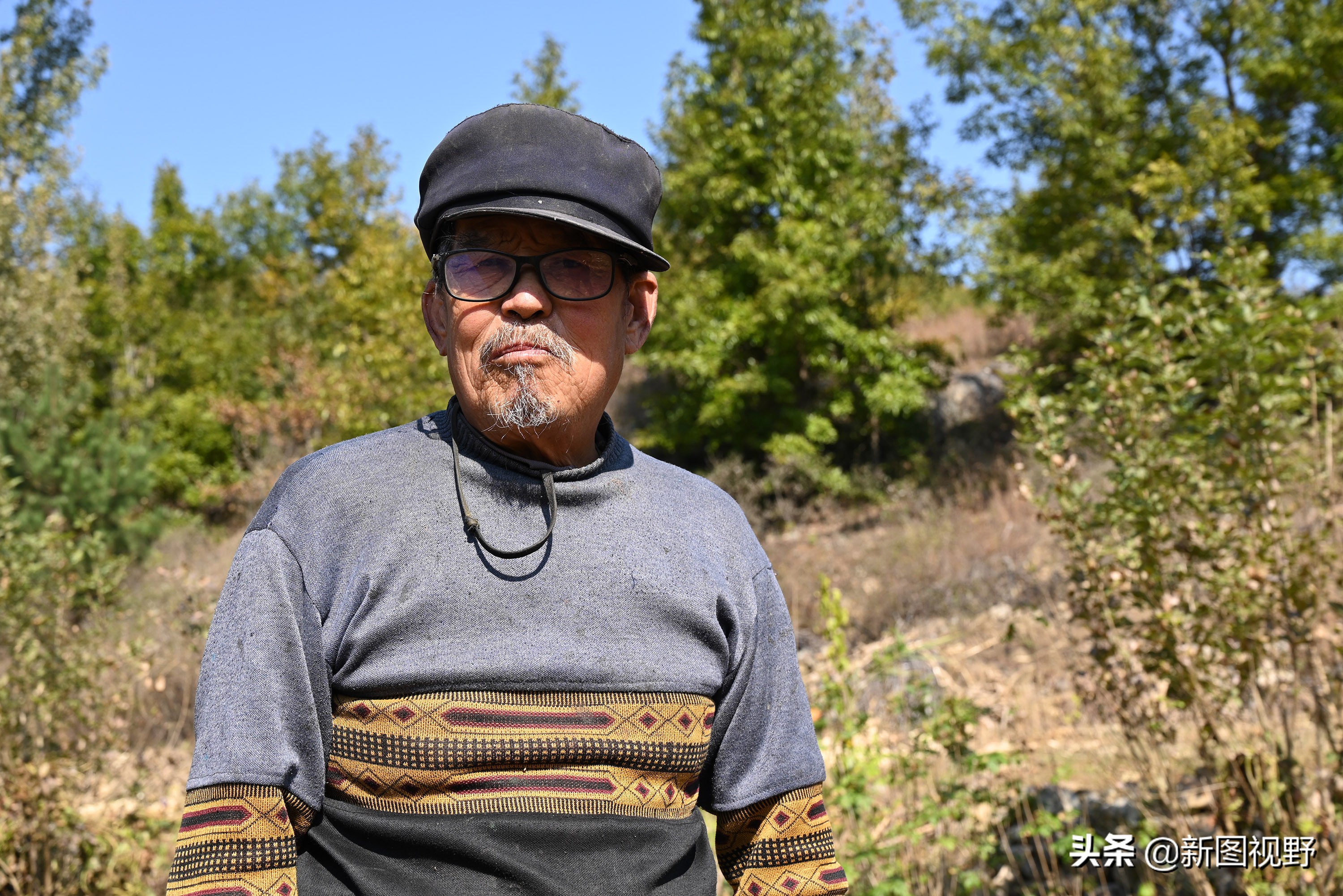 70岁老人养100条流浪狗,80岁老人独居深山养了两只鸟作伴