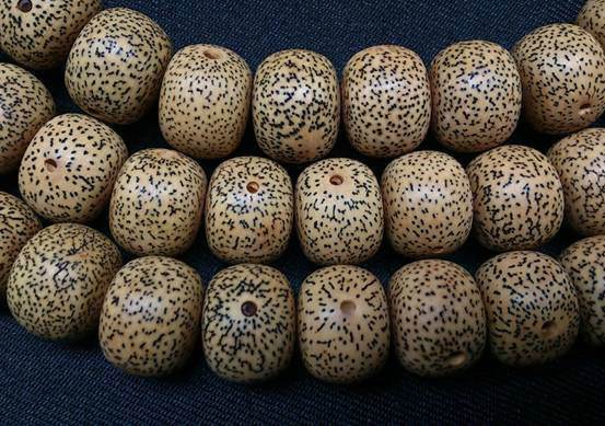 菩提星月盘出来值钱吗,星月菩提手串真假辨别图片