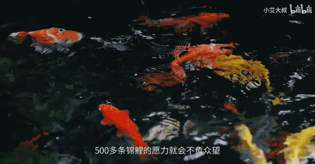 杭州中式豪宅红木,杭州红木家具别墅