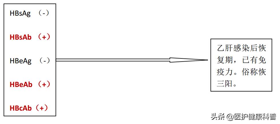 我有乙肝，想谈恋爱、结婚、生小孩……不可以吗？