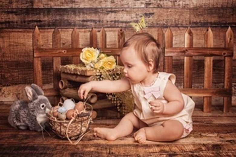 兔子饲养方法玉米可以喂兔子吗,饲养兔子的正确方法小视频