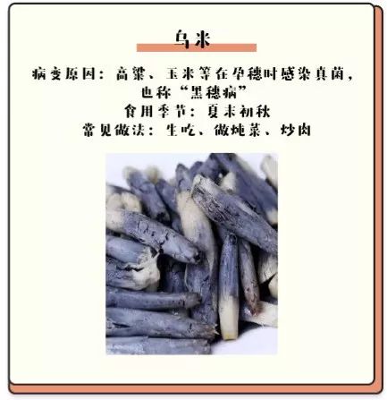 病入膏肓的吃货 (病入膏肓的美味)