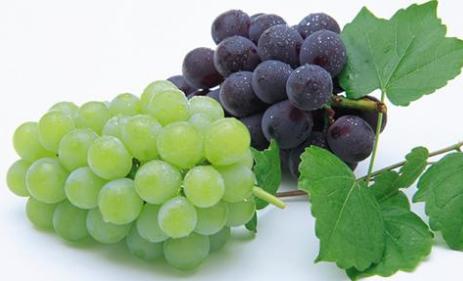 上火了怎么办吃什么水果降火快,上火怎么办吃啥能消火