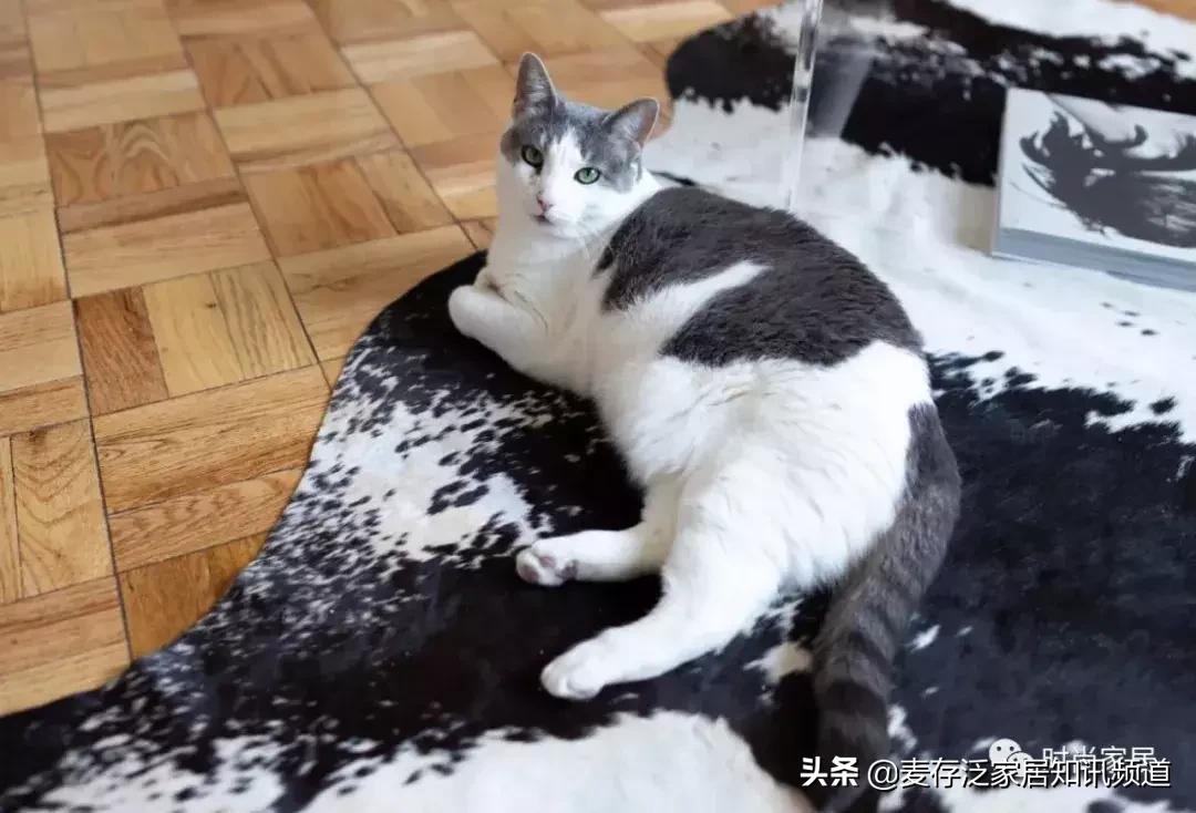 麦存知讯｜温柔轻简的小家，通透隔墙让阳光洒进每个角落