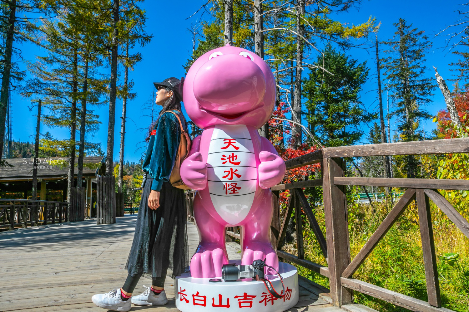 长白山百年野生人参为什么贵,长白山人参最好在哪里