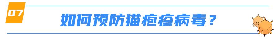 猫感染疱疹咳嗽,猫有眼屎打喷嚏怎么回事