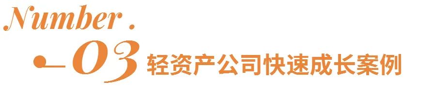 实体店轻资产创业成功案例,实体店轻资产创业项目有哪些