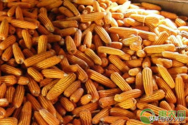 14日菜蛋肉价格