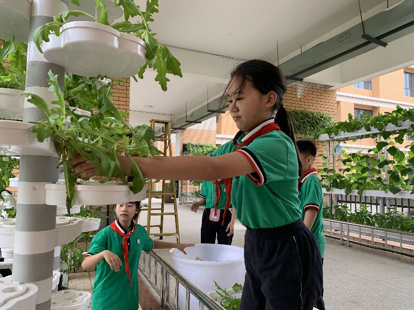 城东小学校歌乐器,城东小学文艺表演青春节拍