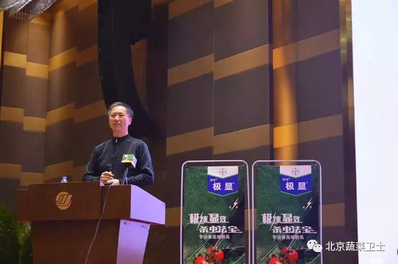 拜耳消杀白粉虱,拜耳治白粉虱特效药