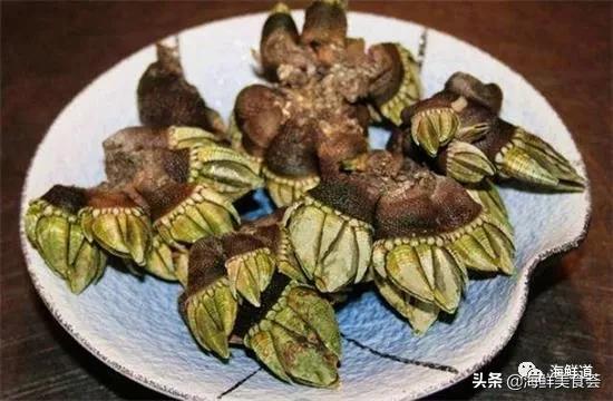 十种最美味海鲜,100种常见海鲜大全图