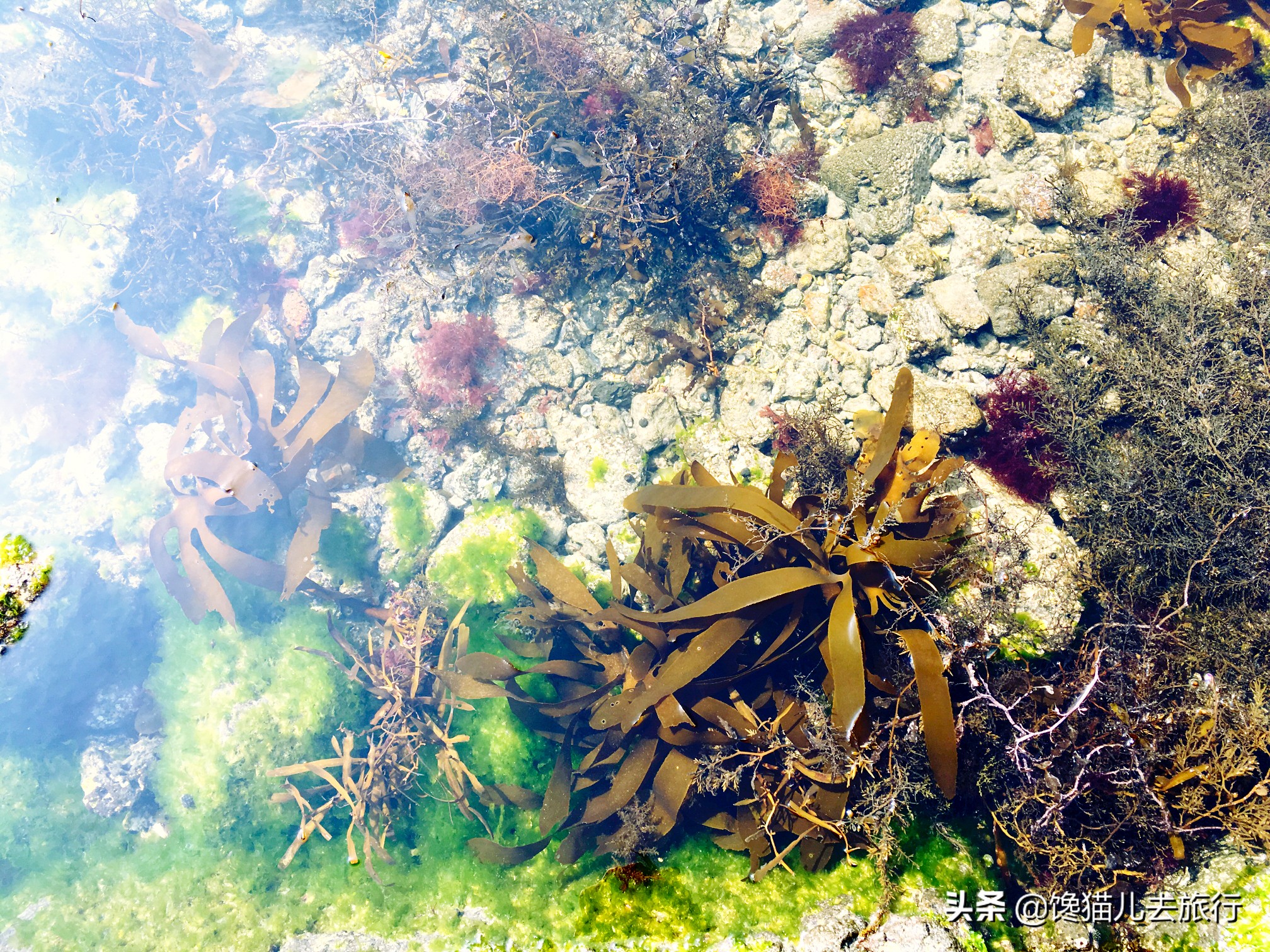 韩国旅游汗蒸馆,韩国汗蒸馆实拍