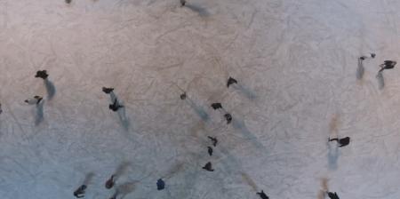 造价350亿！明明是个超级游乐场，非要说自己是购物中心