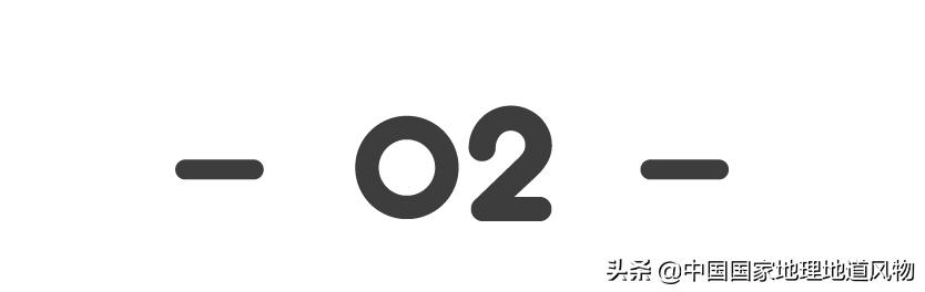 牛牛真的有多牛,中国人吃的牛肉是什么牛