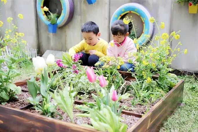 拥抱春天播种绿色植树节广播稿,拥抱春天播种绿色活动