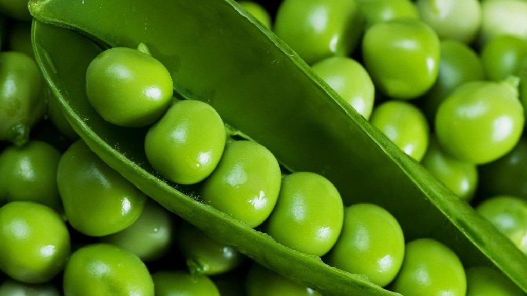 干豌豆下饭菜的做法,家常菜豌豆肉末的做法好吃下饭