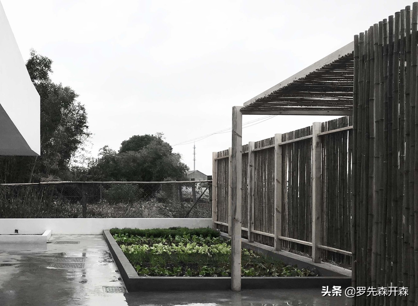 奉贤特色民宿装修设计,嘉定区现代简约庭院设计