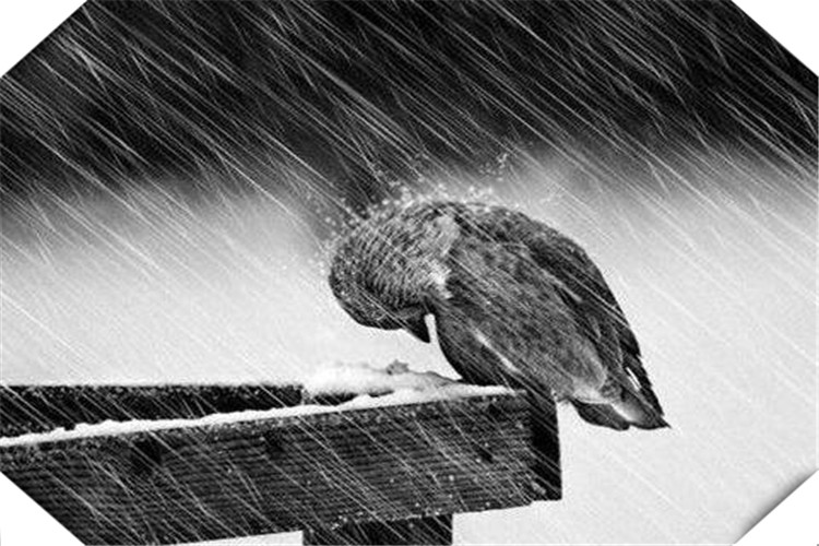 欠债太多无力偿还会怎样,一个人欠债无力偿还怎么办