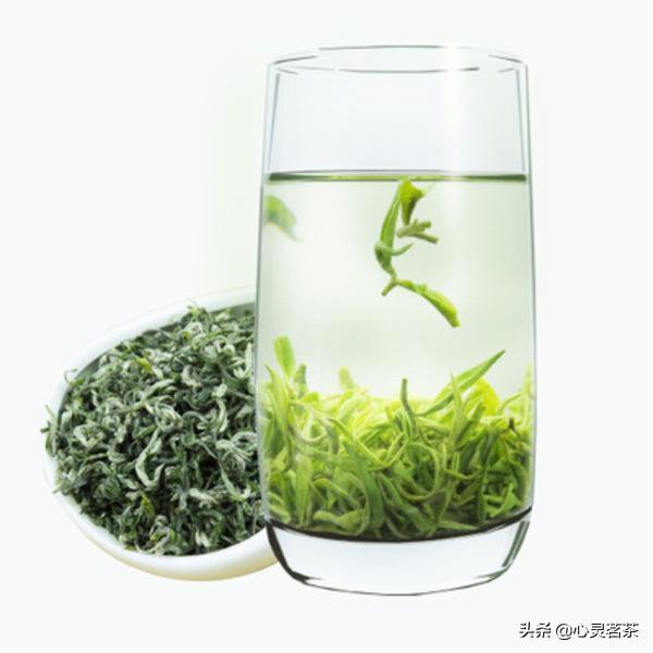 蒙顶甘露茶冲泡,蒙顶甘露与龙井的冲泡区别