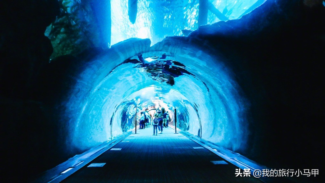 迪拜旅游攻略必去的地方,迪拜游玩全攻略