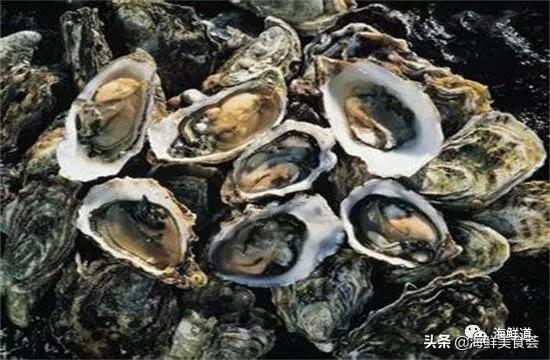 十种最美味海鲜,100种常见海鲜大全图