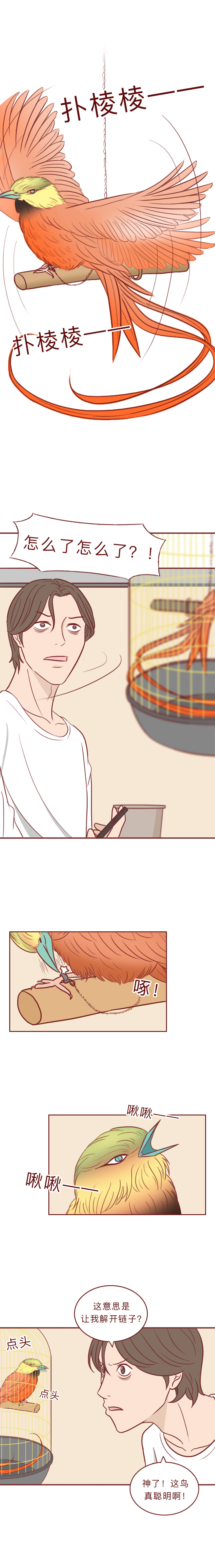 动物竟然把人当宠物一样囚禁和喂养,一部黑暗讽刺漫画