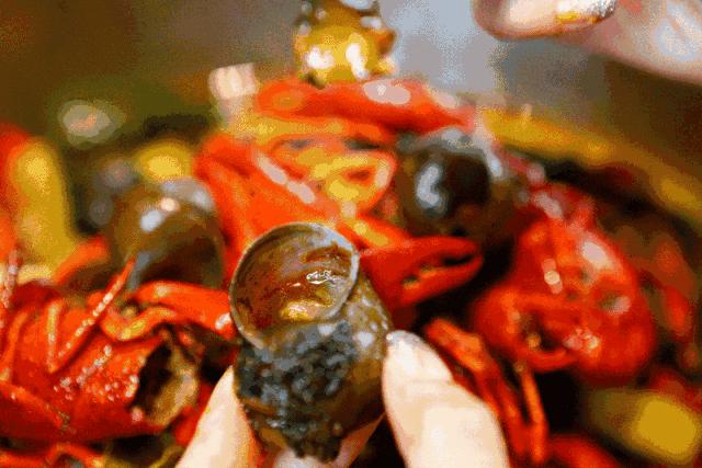 中国人吃螺的地方 (中国人吃螺地图高清版)