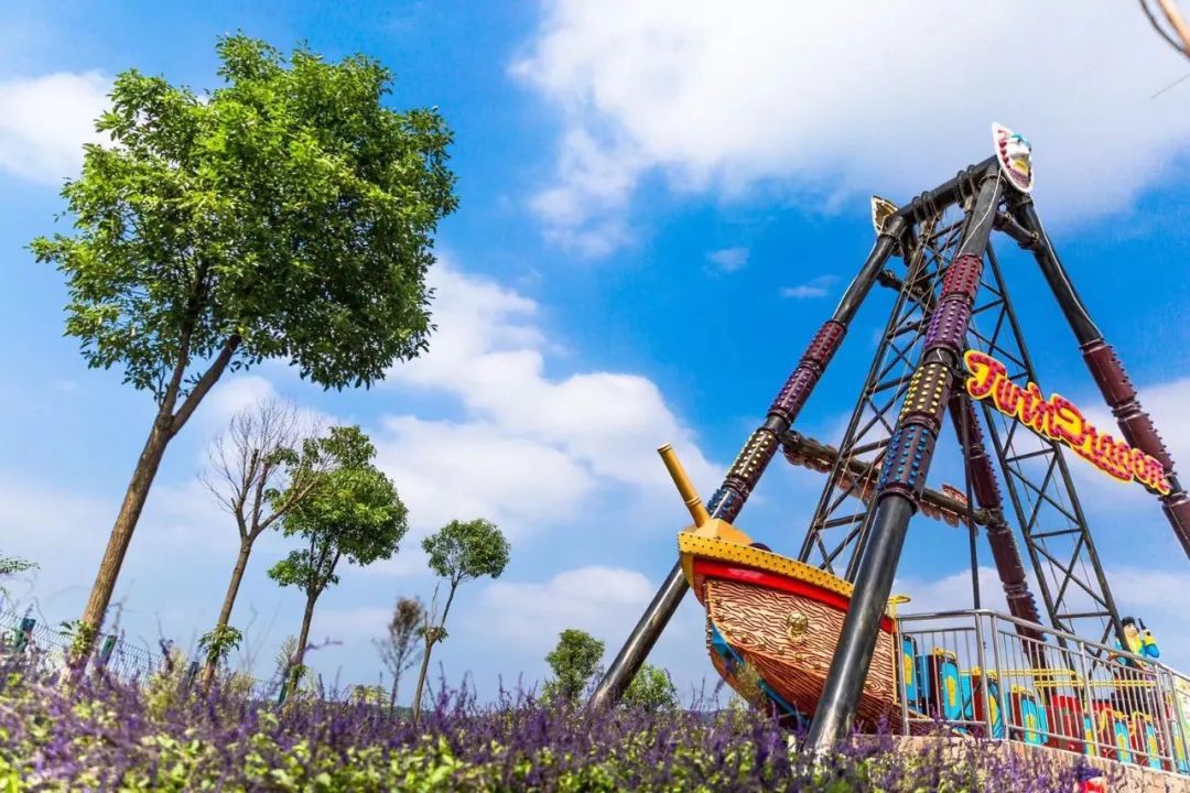 抓住春天的尾巴鸟语花香,抓住花海的尾巴