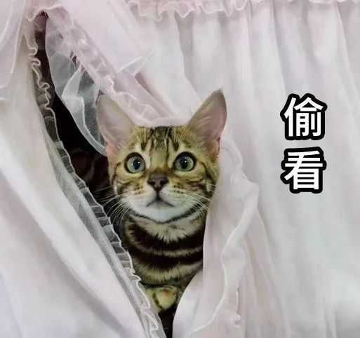 叶檀财经投资价值排行,叶檀财经推荐的股票有哪些