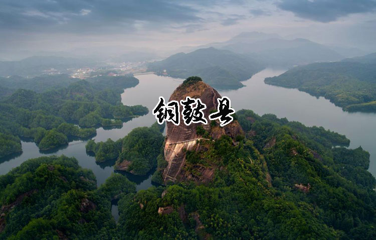 铜鼓有什么好吃的美食特色,铜鼓十大名小吃